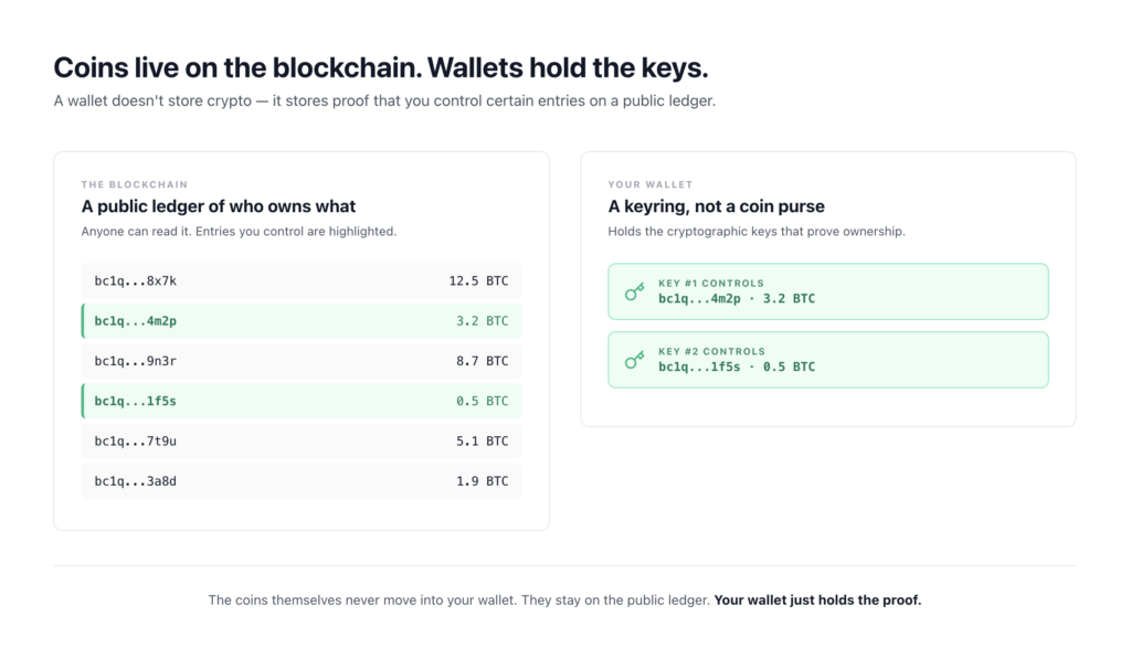 Diagram explaining how crypto wallets work — coins stay on the public blockchain ledger while the wallet holds keys that prove ownership