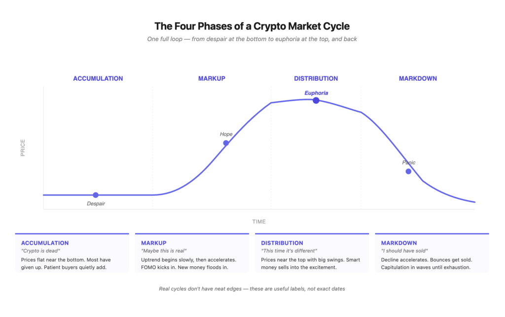 The four phases of crypto market cycles — accumulation, markup, distribution, and markdown — visualized as a price wave with emotional states annotated