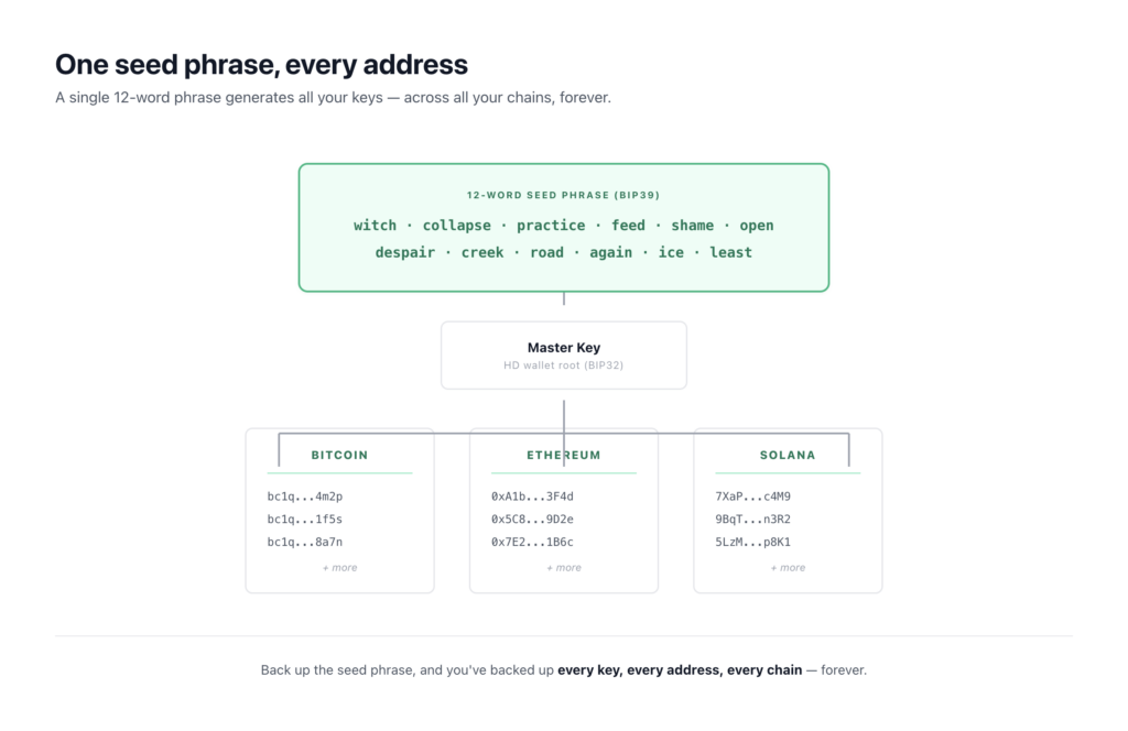 How a 12-word seed phrase generates keys for Bitcoin, Ethereum, and Solana addresses in a multi-chain crypto wallet