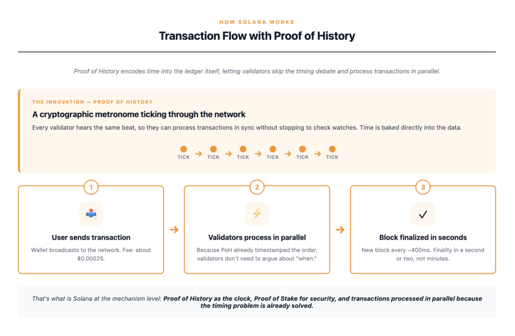 Solana transaction flow with Proof of History — the PoH mechanism acts like a metronome that gives every validator a shared timeline, allowing them to process transactions in parallel and produce a new block roughly every 400 milliseconds, with finality in a second or two rather than minutes