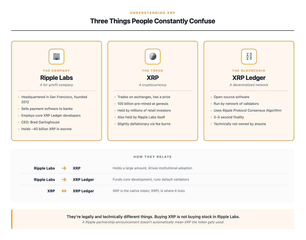 Visual explanation of the difference between Ripple Labs the for-profit company founded in 2012, XRP the cryptocurrency token traded on exchanges, and the XRP Ledger the decentralized blockchain that XRP runs on — showing how Ripple Labs holds a large amount of XRP and drives most of its institutional adoption but is legally and technically separate from both the token and the network