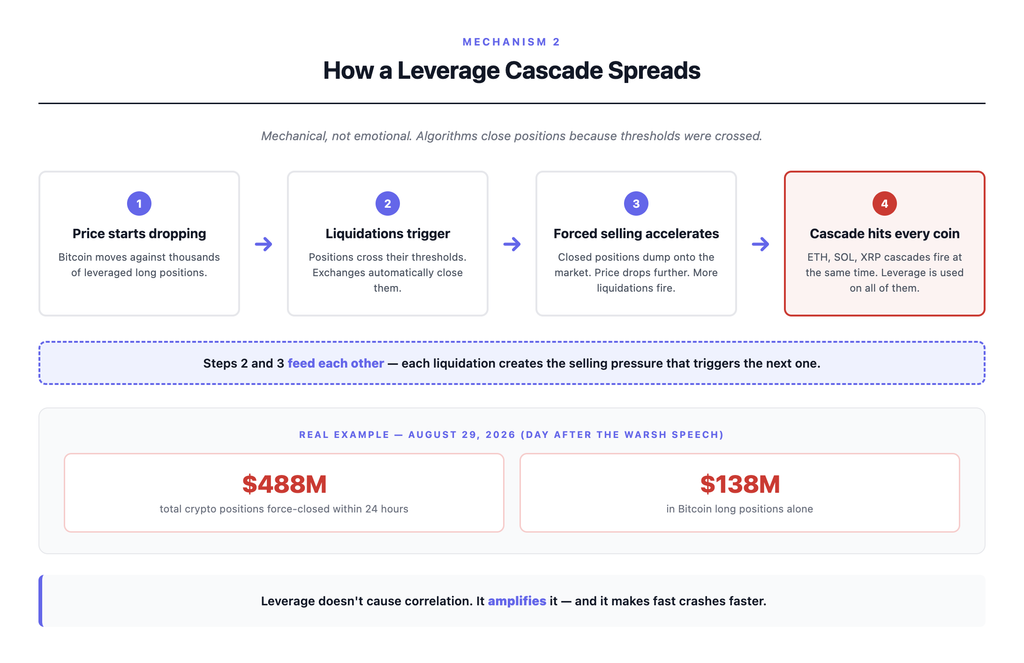 Four-panel diagram showing how a leverage cascade works in crypto markets — Bitcoin price drops, leveraged long positions cross automatic liquidation thresholds, forced selling accelerates the decline, and the cascade spreads simultaneously across all major altcoins, with the August 29 2026 example showing 488 million dollars in positions force-closed within 24 hours